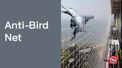 Anti-Bird Net