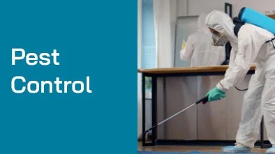 Pest Control